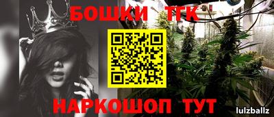 скорость Кингисепп