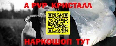скорость Кингисепп