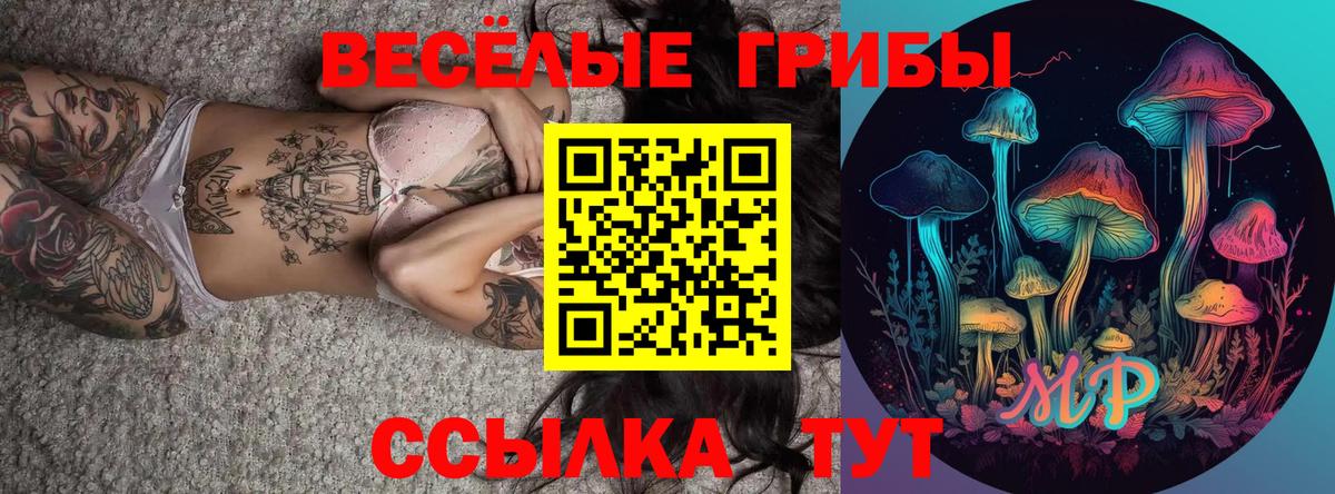 Карачаевск  где купить наркотик  Вход с VPN  Галлюциногенные грибы Psilocybine cubensis 